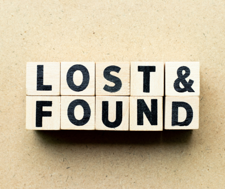 Find information about lost and found pets