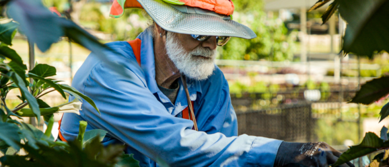 parks worker