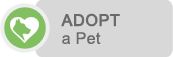 Adopt a pet