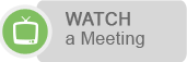 Watch a meeting