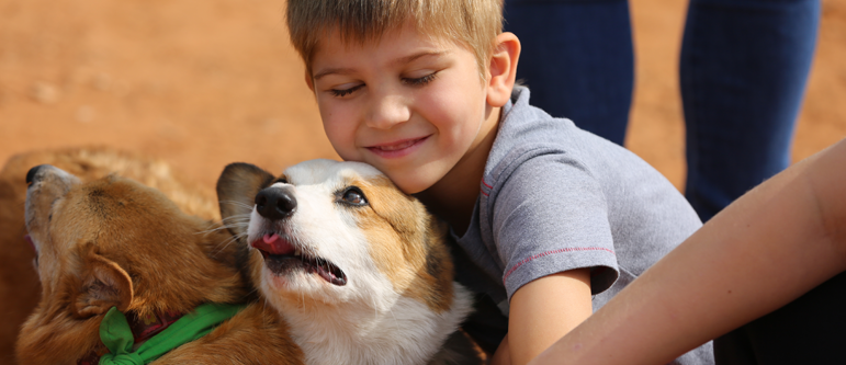 Dogs and child together at the Dog Park.