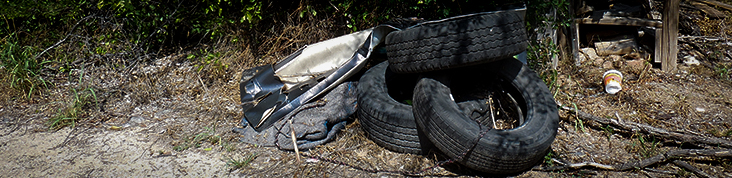 Image showcasing items that were dumped. Tires are in this photo.